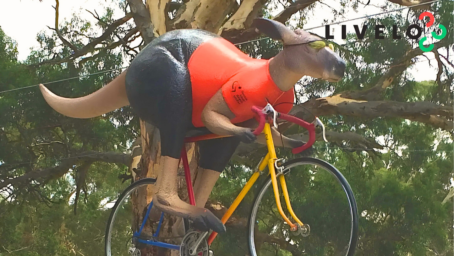 Guided Ride/Tour - Adelaide