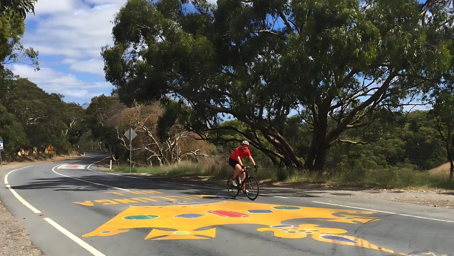 Guided Ride/Tour - Adelaide