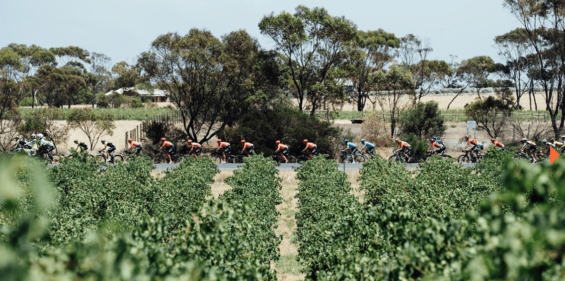 Road Bike Hire Tour Down Under - 2025