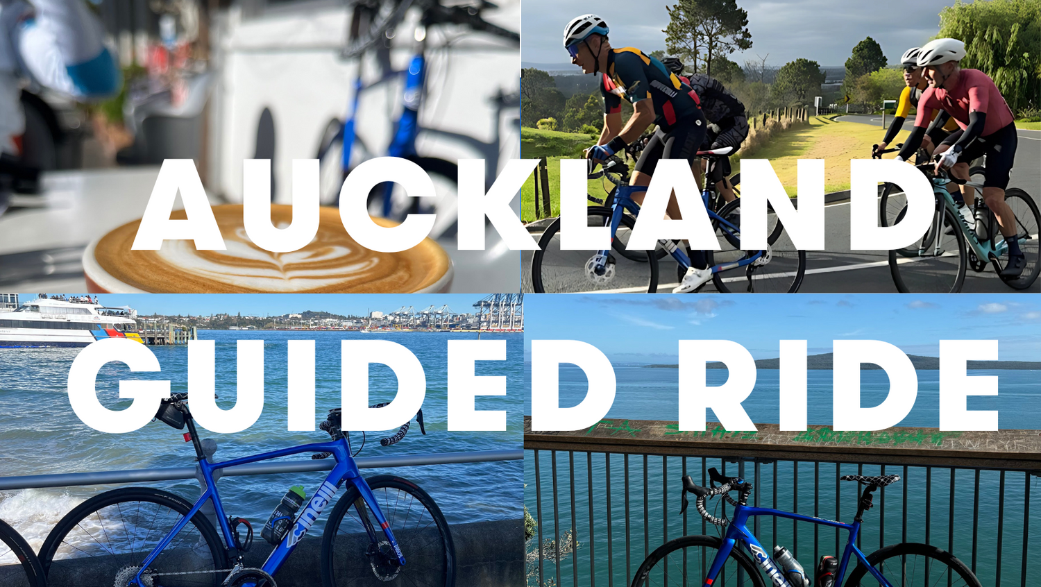 Auckland Product