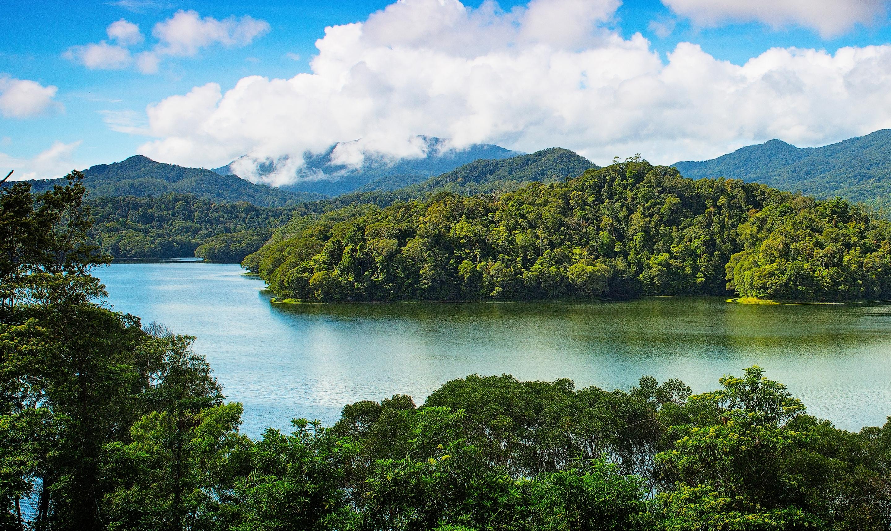 Road Bike Hire Cairns Livelo Bike Rental