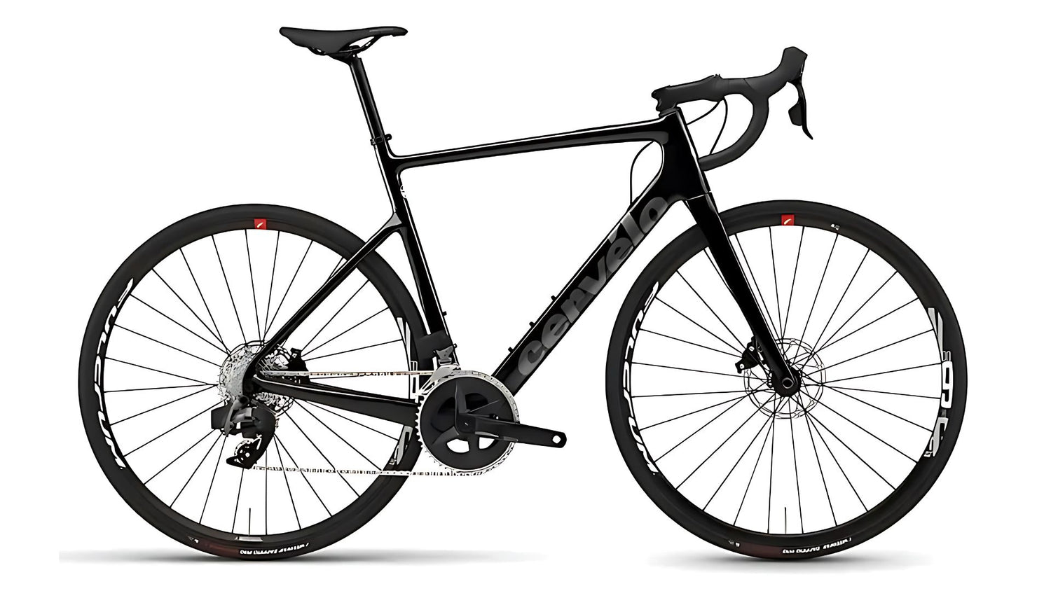 Singapore Road Bike Rental