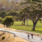 Guided Ride/Tour Hobart